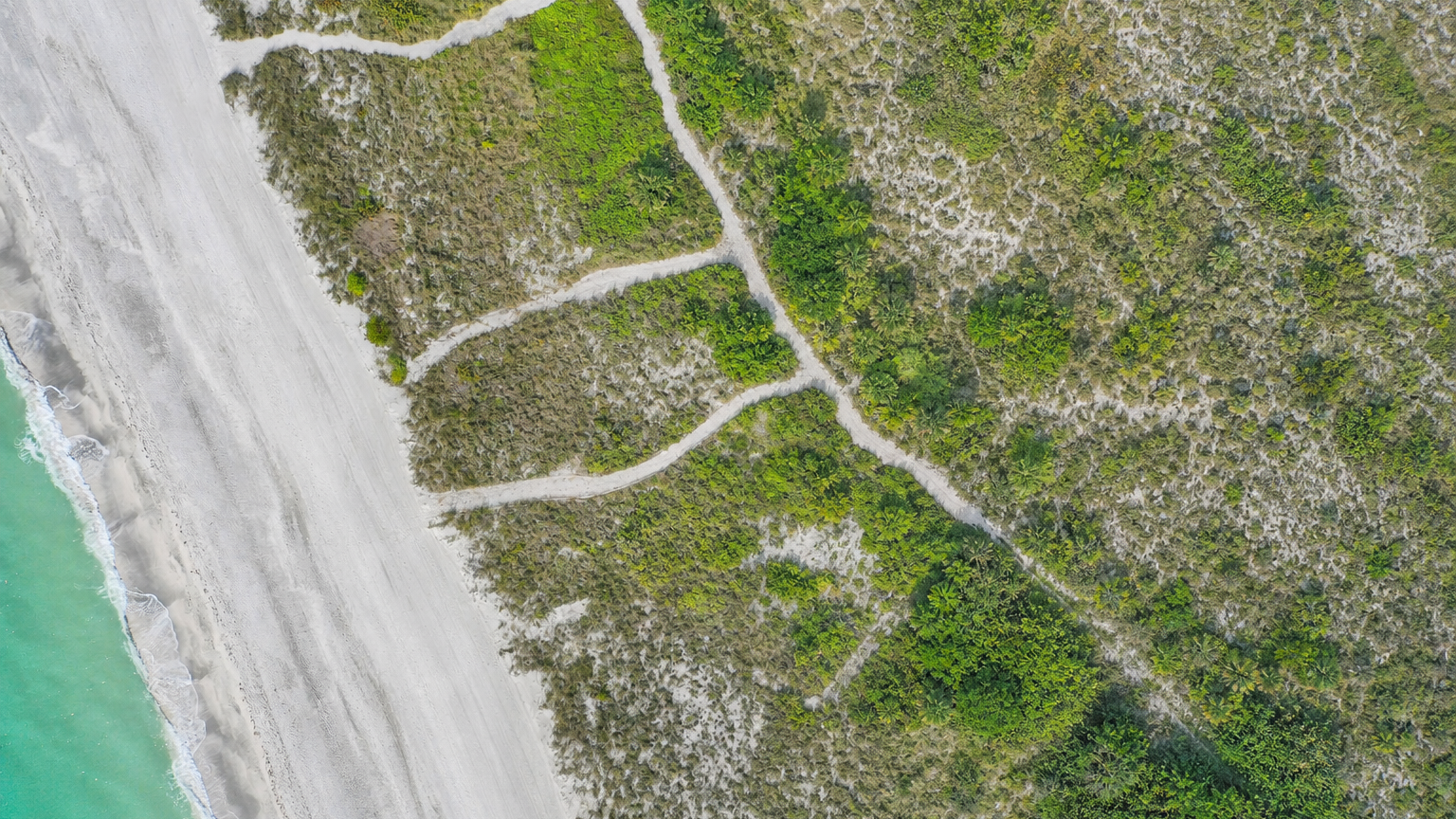 EBG site walk, barrier island property evaluation